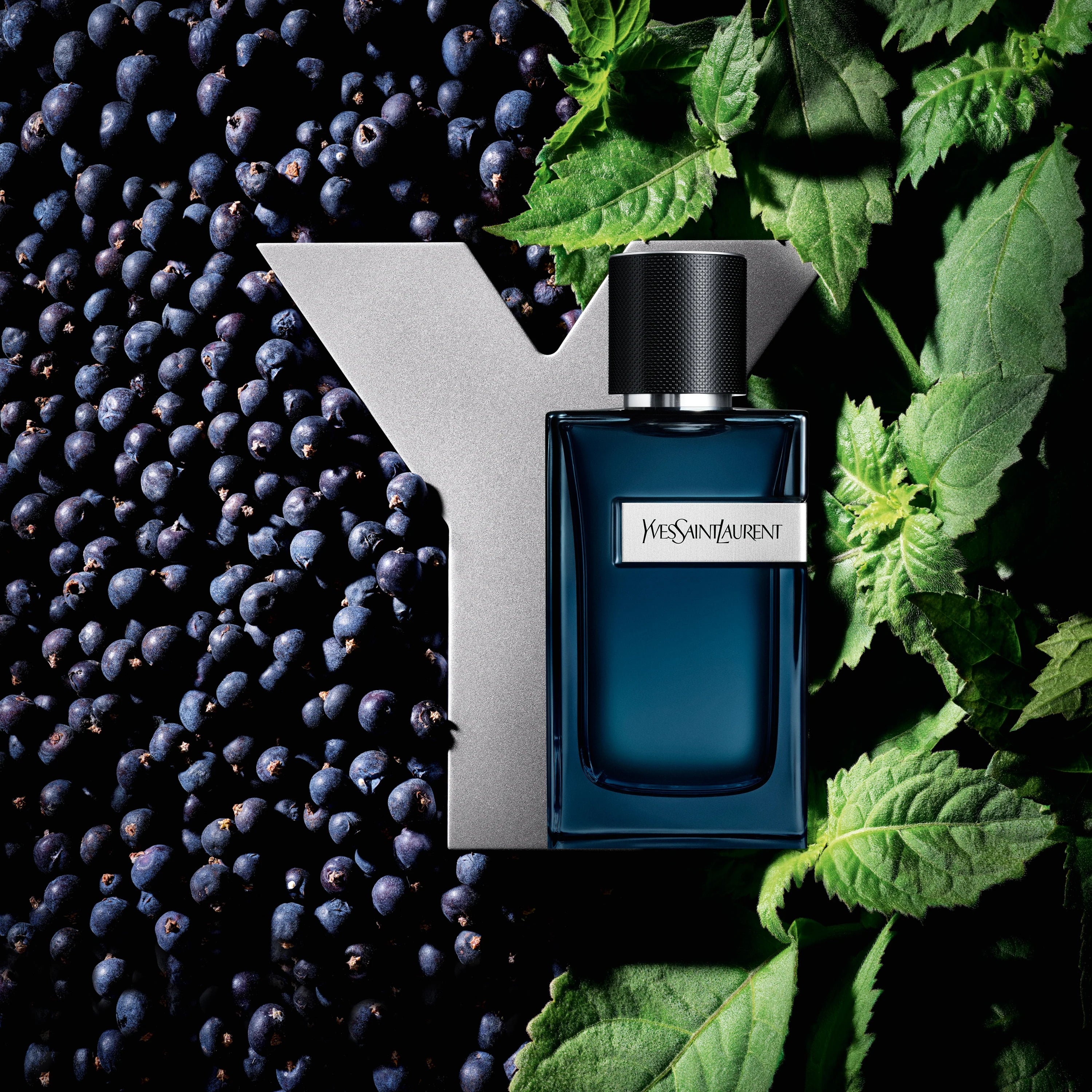 Yves Saint Laurent Y Eau de Parfum Intense